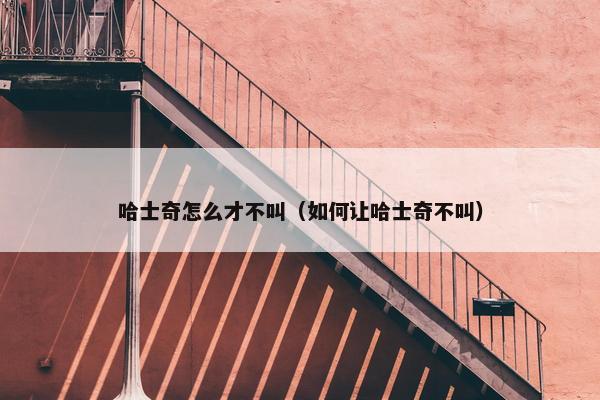 哈士奇怎么才不叫(如何让哈士奇不叫)