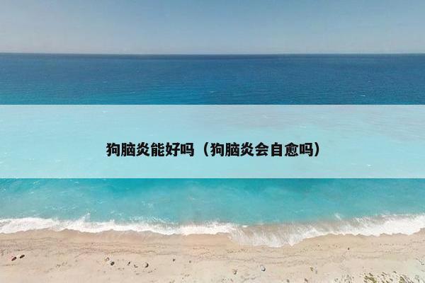 狗脑炎能好吗(狗脑炎会自愈吗)