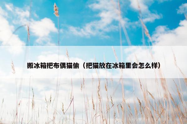 搬冰箱把布偶猫偷(把猫放在冰箱里会怎么样)