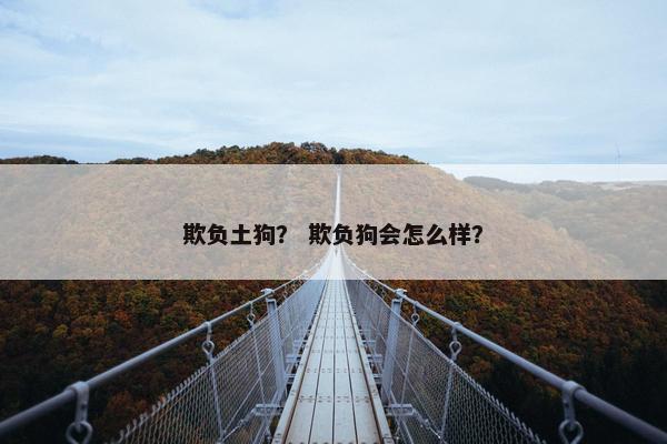 欺负土狗? 欺负狗会怎么样?