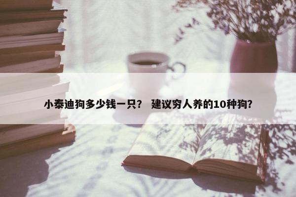 小泰迪狗多少钱一只? 建议穷人养的10种狗?
