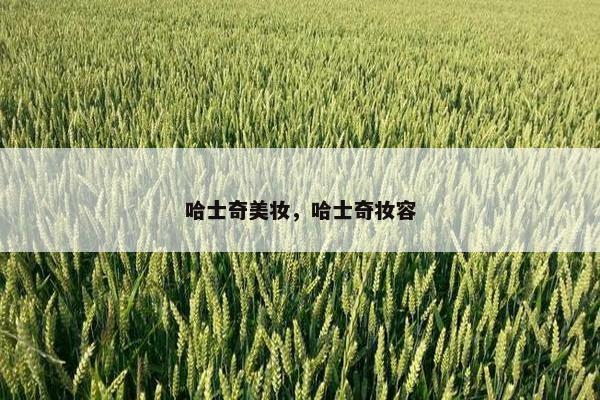 哈士奇美妆,哈士奇妆容