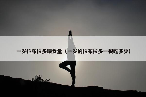 一岁拉布拉多喂食量(一岁的拉布拉多一餐吃多少)