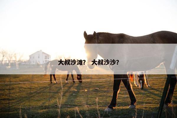 大叔沙滩？ 大叔沙沙？
