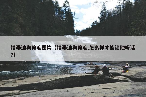 给泰迪狗剪毛图片(给泰迪狗剪毛,怎么样才能让他听话?)