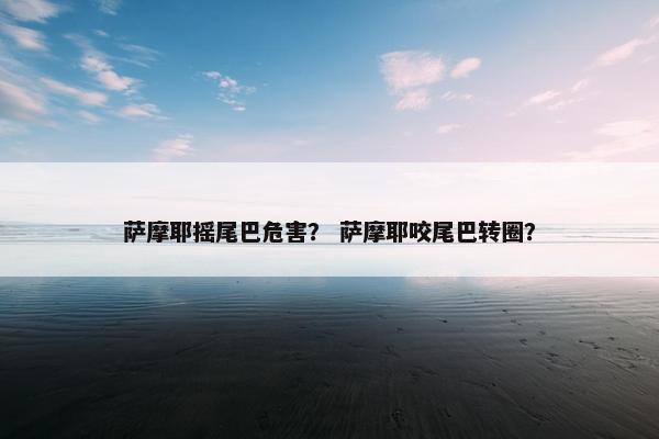 萨摩耶摇尾巴危害？ 萨摩耶咬尾巴转圈？