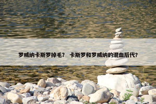 罗威纳卡斯罗掉毛? 卡斯罗和罗威纳的混血后代?