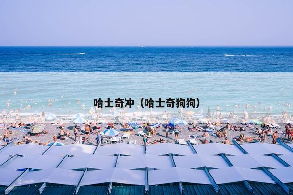 哈士奇冲(哈士奇狗狗)