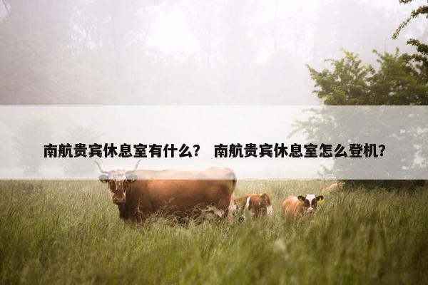 南航贵宾休息室有什么？ 南航贵宾休息室怎么登机？