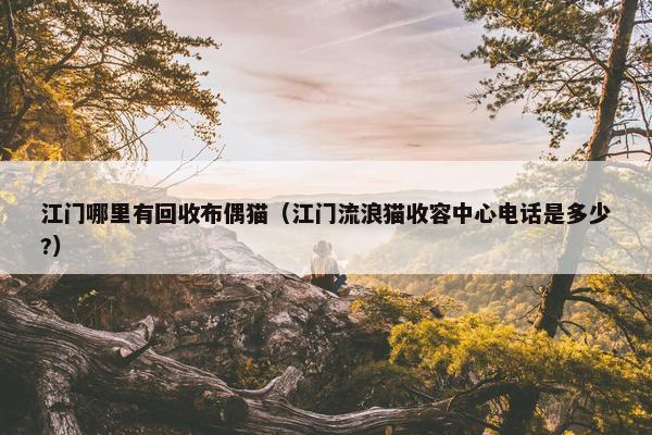 江门哪里有回收布偶猫（江门流浪猫收容中心电话是多少?）