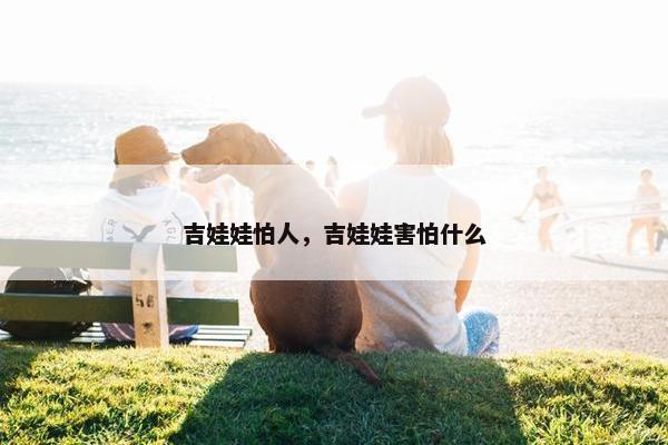 吉娃娃怕人，吉娃娃害怕什么