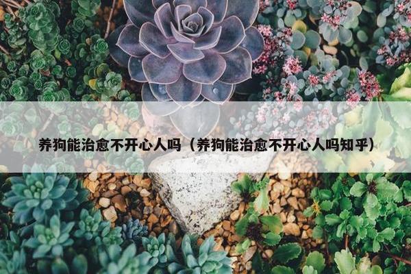养狗能治愈不开心人吗(养狗能治愈不开心人吗知乎)