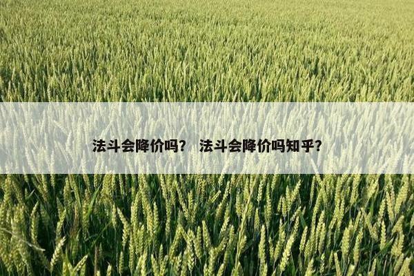 法斗会降价吗？ 法斗会降价吗知乎？