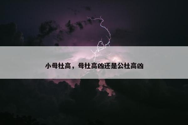 小母杜高,母杜高凶还是公杜高凶