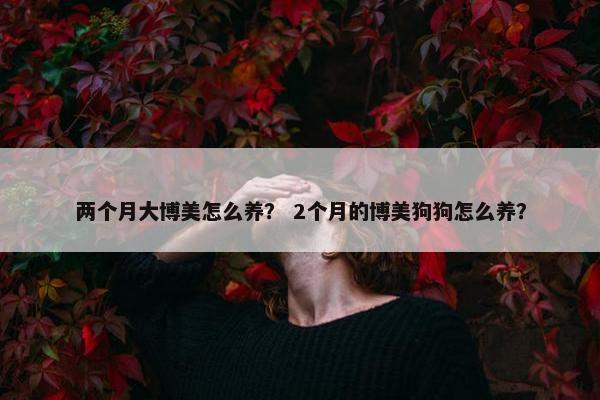 两个月大博美怎么养? 2个月的博美狗狗怎么养?