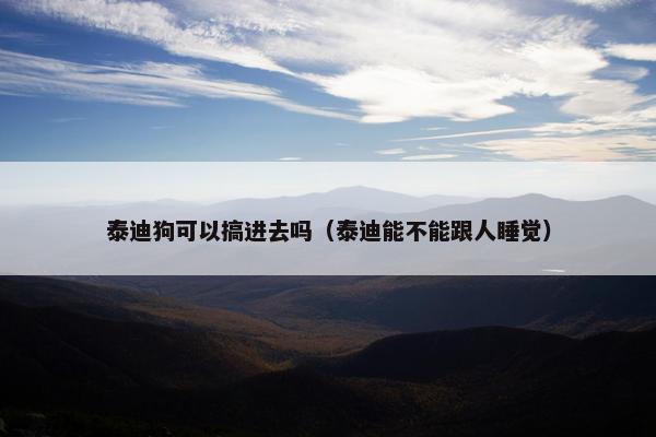 泰迪狗可以搞进去吗(泰迪能不能跟人睡觉)
