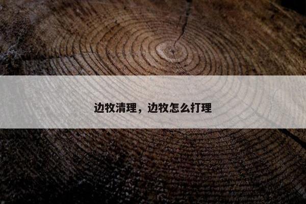 边牧清理,边牧怎么打理