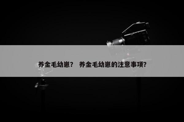 养金毛幼崽? 养金毛幼崽的注意事项?