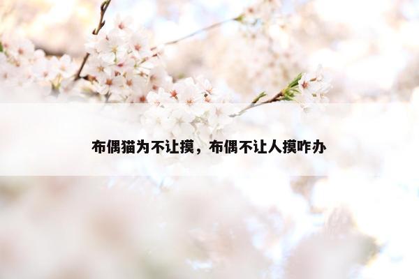 布偶猫为不让摸，布偶不让人摸咋办