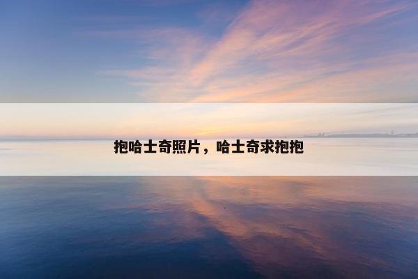 抱哈士奇照片,哈士奇求抱抱