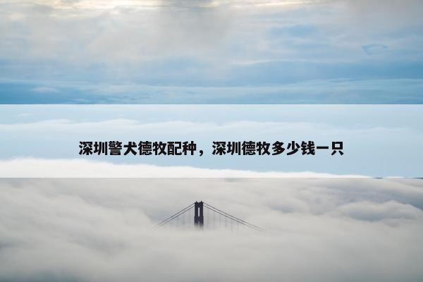 深圳警犬德牧配种，深圳德牧多少钱一只