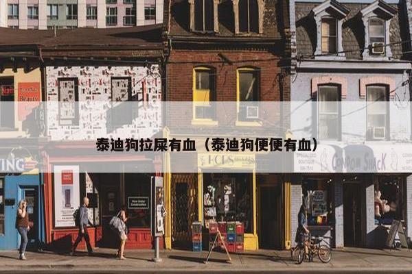 泰迪狗拉屎有血(泰迪狗便便有血)