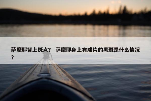萨摩耶背上斑点? 萨摩耶身上有成片的黑斑是什么情况?