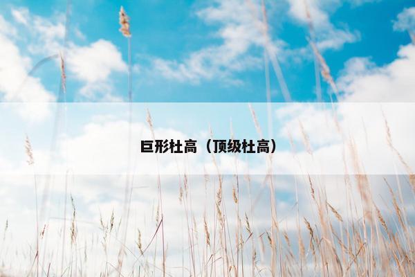 巨形杜高（顶级杜高）