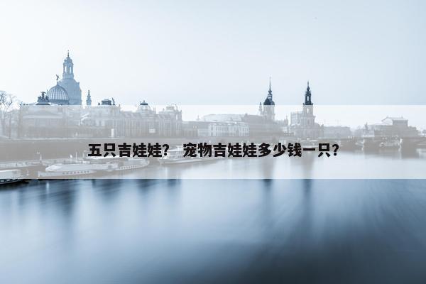 五只吉娃娃? 宠物吉娃娃多少钱一只?