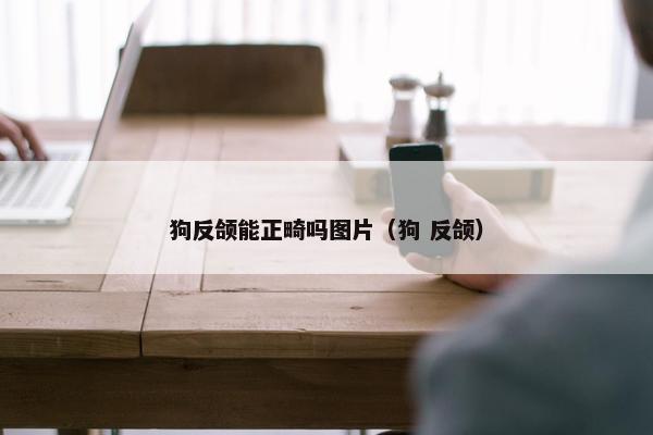 狗反颌能正畸吗图片(狗 反颌)