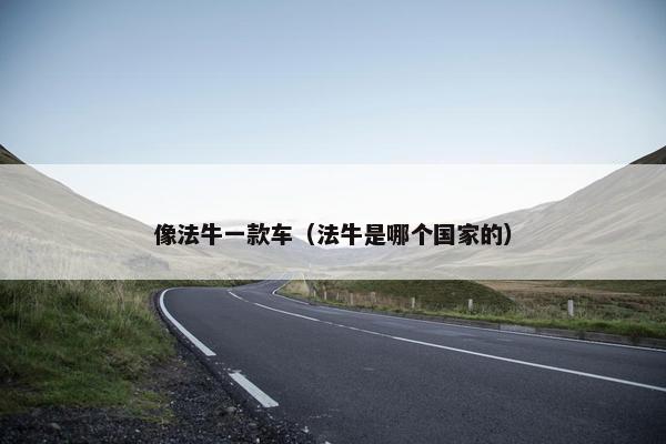 像法牛一款车（法牛是哪个国家的）