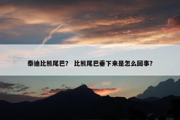 泰迪比熊尾巴? 比熊尾巴垂下来是怎么回事?