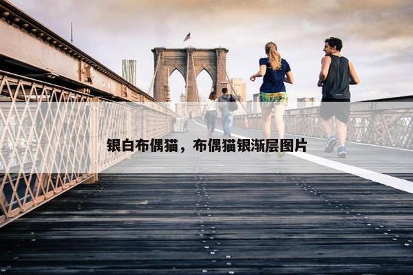银白布偶猫，布偶猫银渐层图片