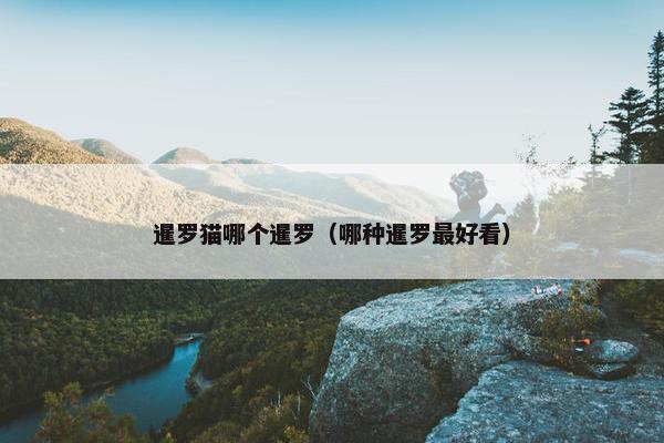 暹罗猫哪个暹罗（哪种暹罗最好看）