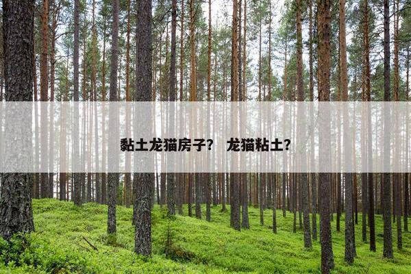 黏土龙猫房子？ 龙猫粘土？