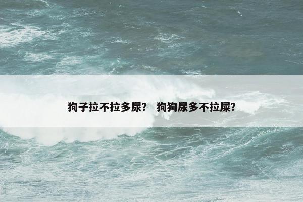 狗子拉不拉多尿？ 狗狗尿多不拉屎？