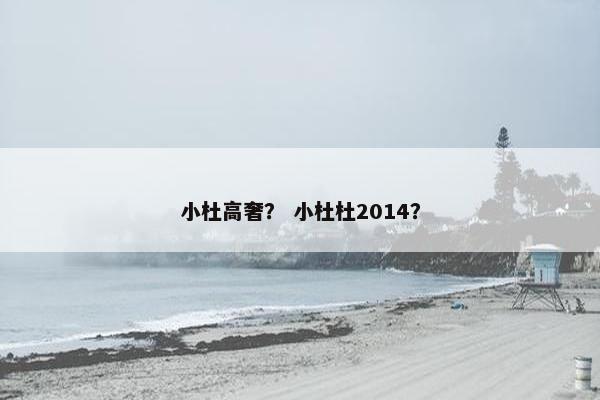 小杜高奢？ 小杜杜2014？