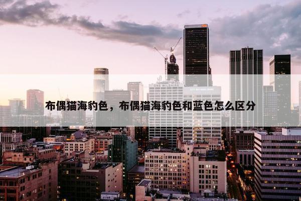布偶猫海豹色，布偶猫海豹色和蓝色怎么区分