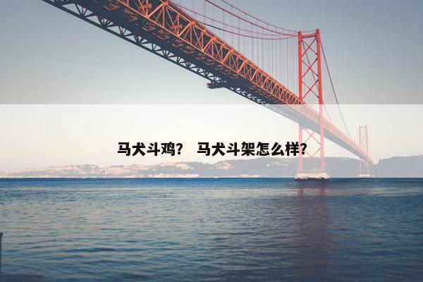 马犬斗鸡？ 马犬斗架怎么样？