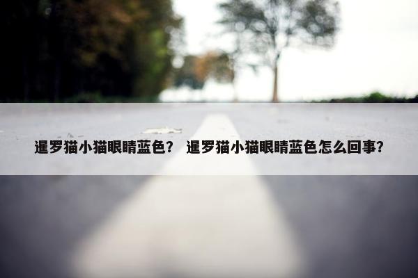 暹罗猫小猫眼睛蓝色? 暹罗猫小猫眼睛蓝色怎么回事?
