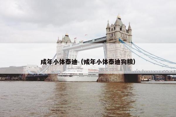 成年小体泰迪(成年小体泰迪狗粮)