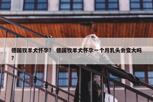 德国牧羊犬怀孕？ 德国牧羊犬怀孕一个月乳头会变大吗？