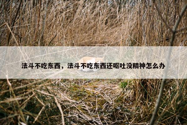 法斗不吃东西，法斗不吃东西还呕吐没精神怎么办