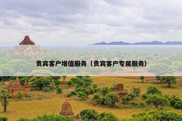 贵宾客户增值服务（贵宾客户专属服务）
