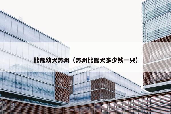 比熊幼犬苏州（苏州比熊犬多少钱一只）