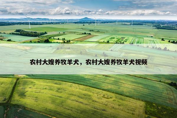 鱿鱼