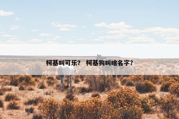 柯基叫可乐？ 柯基狗叫啥名字？