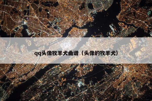 qq头像牧羊犬曲谱（头像的牧羊犬）