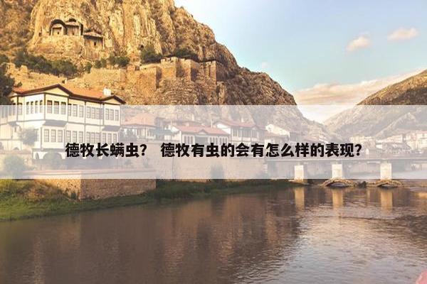 德牧长螨虫? 德牧有虫的会有怎么样的表现?