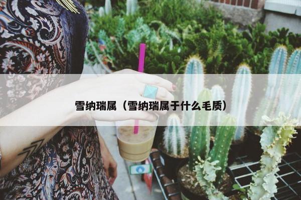 雪纳瑞属(雪纳瑞属于什么毛质)